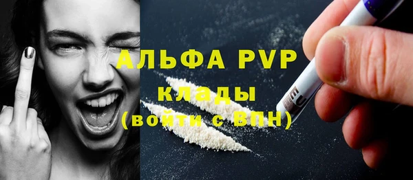шишки Абаза