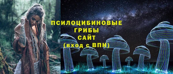 стаф Алексеевка