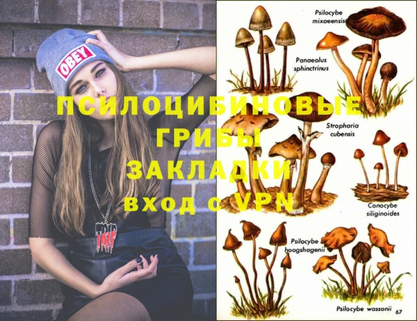 дмт Абдулино