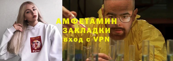 шишки Абаза