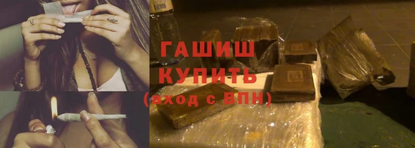 стаф Алексин