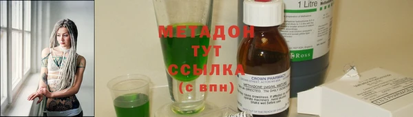 шишки Абаза