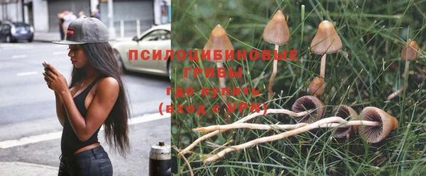 стаф Алексеевка
