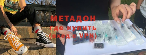 шишки Абаза