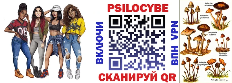 ОМГ ОМГ онион  Пудож  Псилоцибиновые грибы прущие грибы 